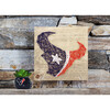 NFL Houston Texans String Art Kit - Arts & Crafts - 3
