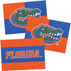 NCAA Florida Gators Sand Art Craft Kit - Arts & Crafts - 1 - thumbnail