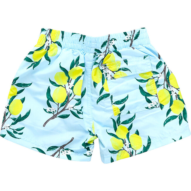 Boys Swim Trunks, Lemon Branch - Swim Trunks - 2