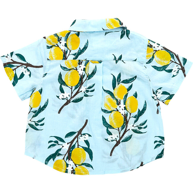 Baby Boys Jack Shirt, Lemon Branch