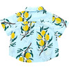 Baby Boys Jack Shirt, Lemon Branch - Shirts - 2