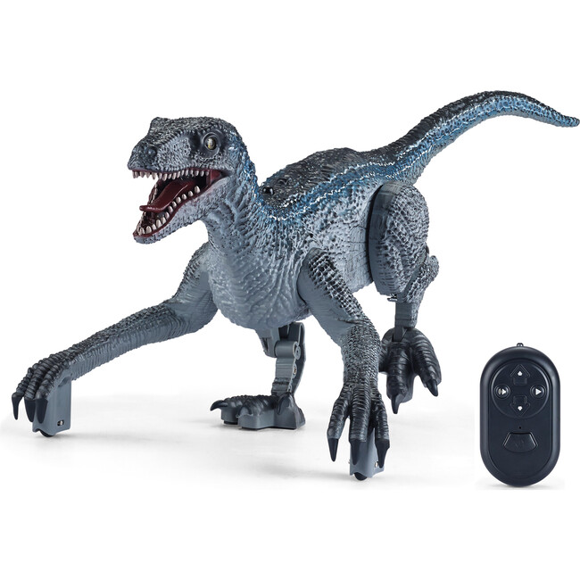 Rapid Raptor