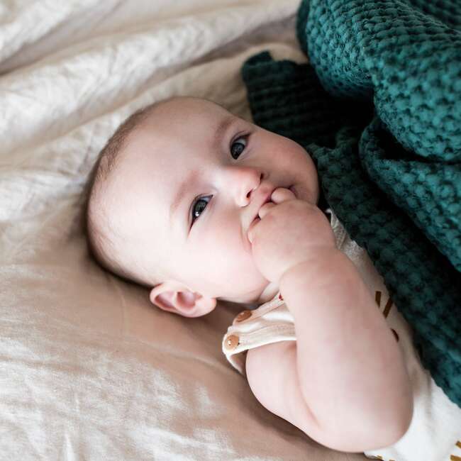 Waffle Baby Blanket, Hunter - Blankets - 5