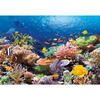 Coral Reef Fishes 1000 Piece Jigsaw Puzzle - Puzzles - 2