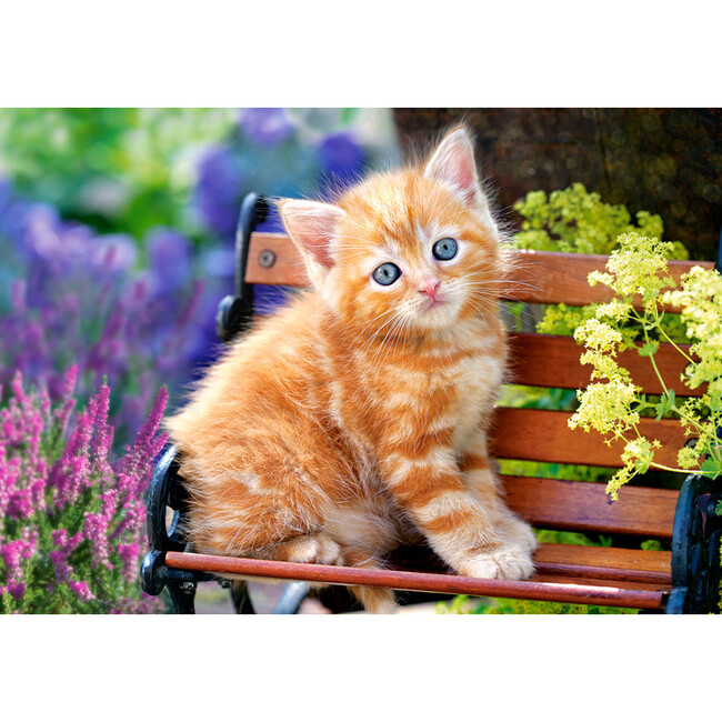 Ginger Kitten 500 Piece Jigsaw Puzzle - Puzzles - 2