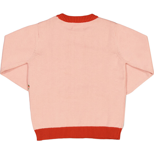 Cotton Knit Sweater, Botany - Sweaters - 3