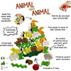 Animal Upon Animal Game - Board Games - 2