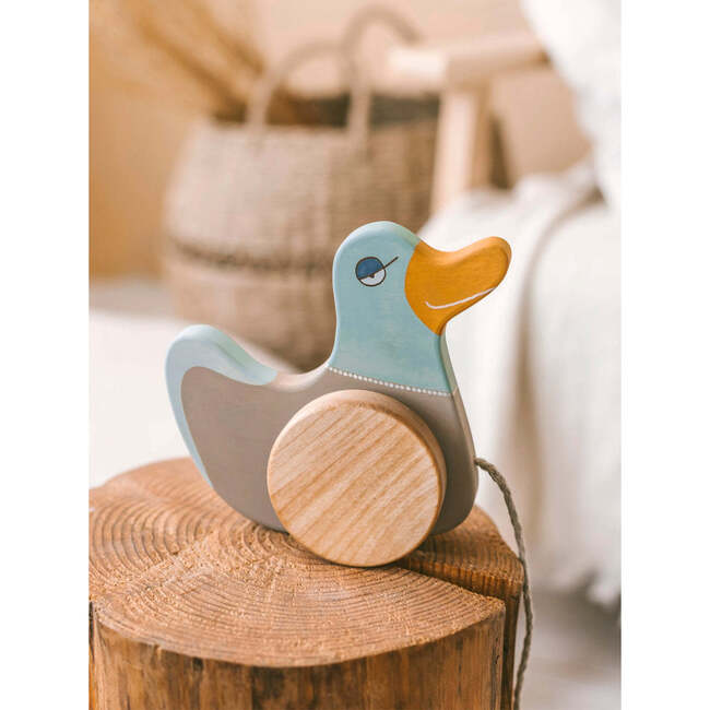 Duck Pull Toy, Blue - Push & Pull - 2