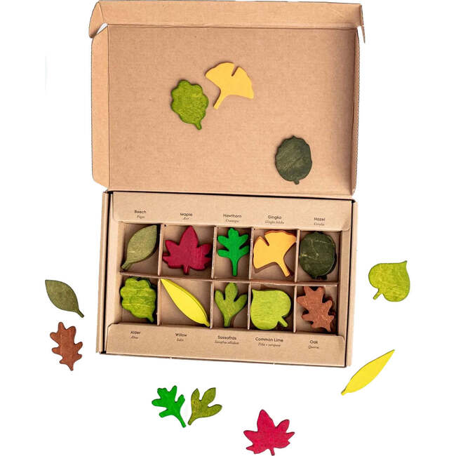 Woodland Leaves, Multicolors - Developmental Toys - 1