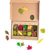 Woodland Leaves, Multicolors - Developmental Toys - 1 - thumbnail