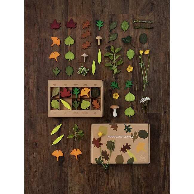 Woodland Leaves, Multicolors - Developmental Toys - 2