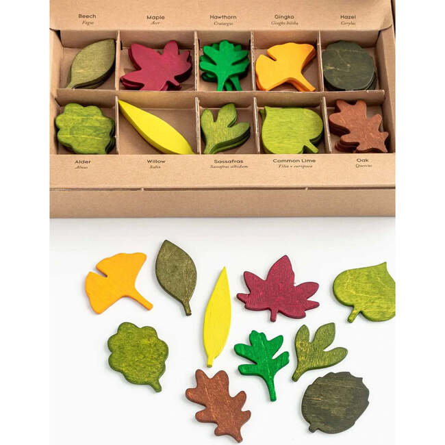 Woodland Leaves, Multicolors - Developmental Toys - 4