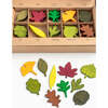 Woodland Leaves, Multicolors - Developmental Toys - 4