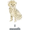 LouLou Baker’s Baby: Milestone Cards - Paper Goods - 2