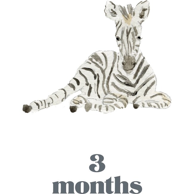 LouLou Baker’s Baby: Milestone Cards - Paper Goods - 3