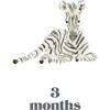 LouLou Baker’s Baby: Milestone Cards - Paper Goods - 3