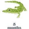 LouLou Baker’s Baby: Milestone Cards - Paper Goods - 4
