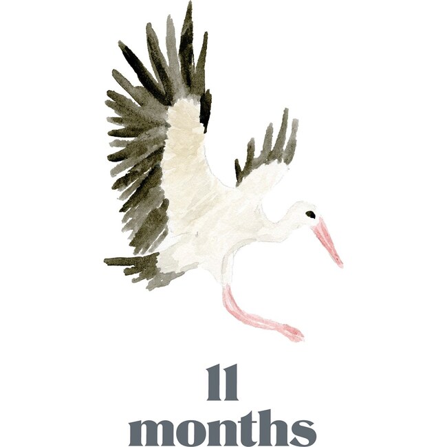 LouLou Baker’s Baby: Milestone Cards - Paper Goods - 6