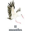 LouLou Baker’s Baby: Milestone Cards - Paper Goods - 6