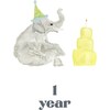 LouLou Baker’s Baby: Milestone Cards - Paper Goods - 7