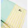 4 Way Stretch Swim Trunk, Stripe Colorblock - Swim Trunks - 2