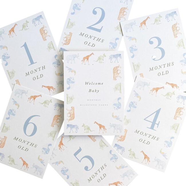 Storybook Animal Milestone Cards - Paper Goods - 1