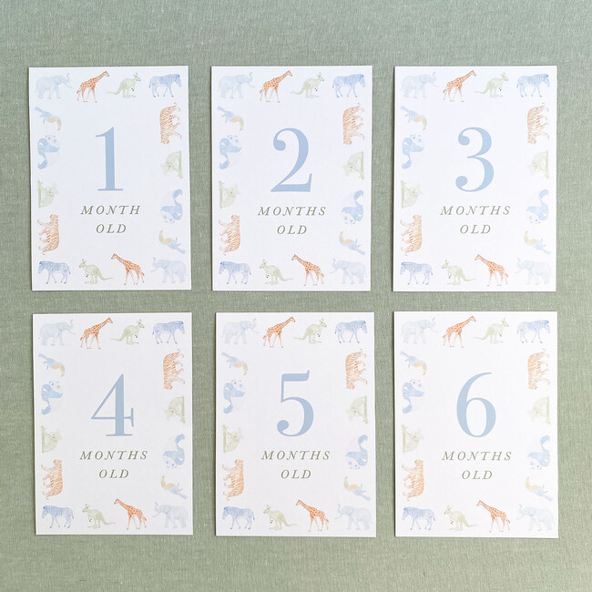 Storybook Animal Milestone Cards - Paper Goods - 2