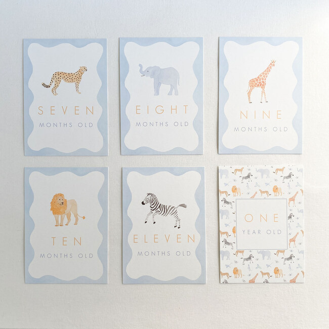 Pastel Animal Milestone Cards, Blue - Paper Goods - 3