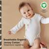 Fitted Crib Sheet, Pecan - Crib Sheets - 4