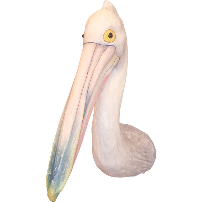 Australian Pelican Mount