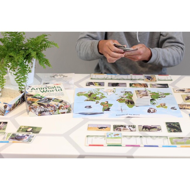 Animals of the World - Board Games - 2