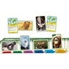 Animals of the World - Board Games - 4