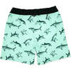 Sea Kings 4-Way Stretch Baby Trunk, Beach Glass - Swim Trunks - 2