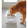 Pet Food Bowl 2-Pieces With Tall Stand, White - Storage - 3