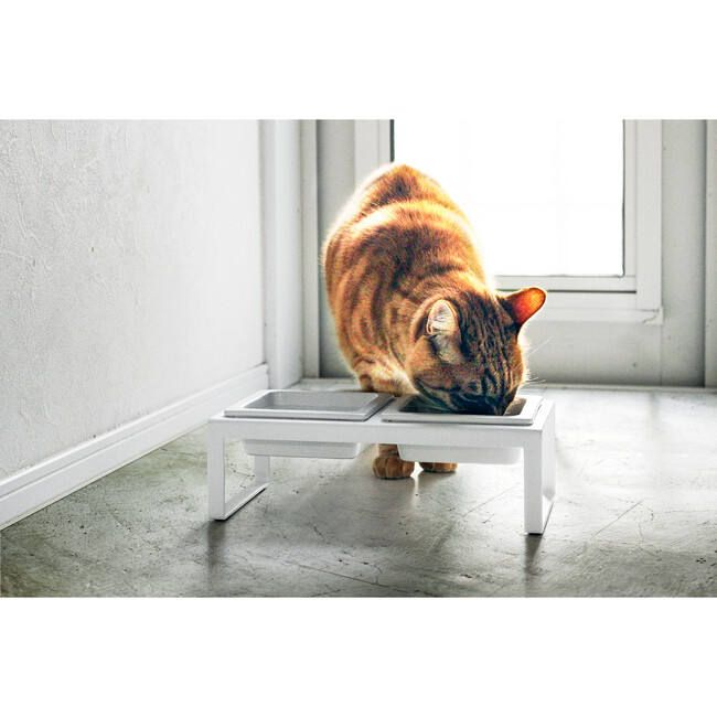 Pet Food Bowl 2-Pieces With Tall Stand, White - Storage - 4