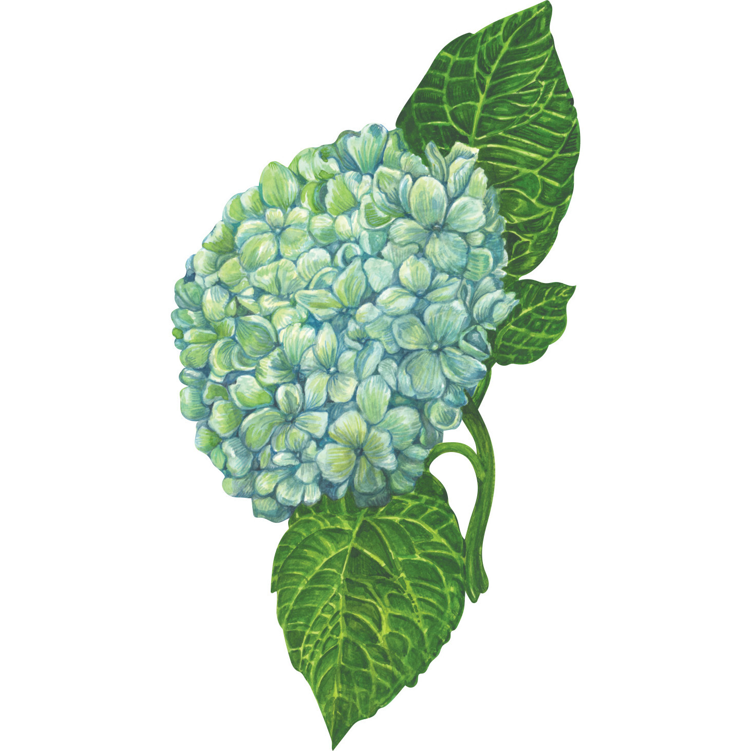 Hydrangea Table Accent, Multi - Tabletop - 1