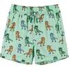 Stretch Snorkel Rex Boardshort, Blue - Swim Trunks - 1 - thumbnail