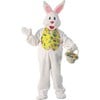 Easter Bunny Mascot Costume - Costumes - 1 - thumbnail