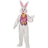 Plush Bunny Mascot - Costumes - 1 - thumbnail