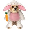 Walking Bunny Pet Costume - Pet Accessories - 1 - thumbnail