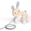 Bunny & Baby Pull Along - FSC 100% - FSC 100% - Outdoor Games - 2