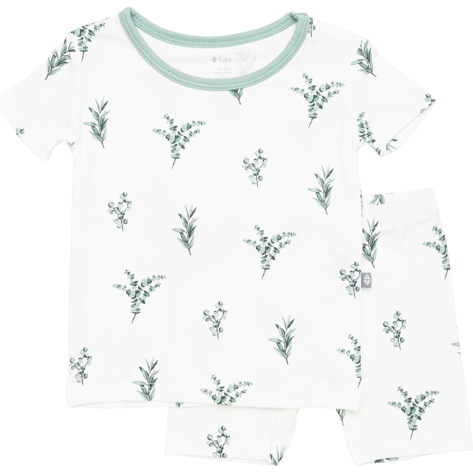 Short Sleeve Toddler Pajama Set, Eucalyptus - Pajamas - 1