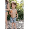 Jungle Zebras Classic Swim Shorts, Greyish Blue And Green - Swim Trunks - 3