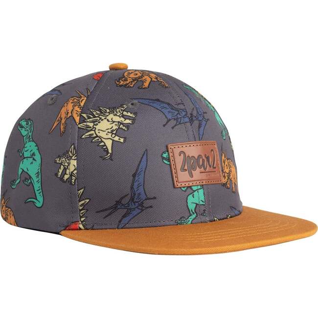 Printed Cap, Charcoal Grey Multicolor Dinosaurs