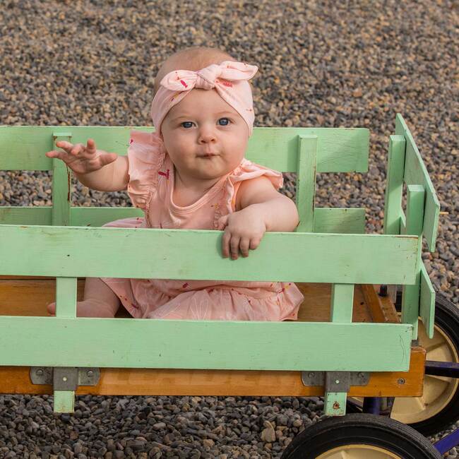 Organic Cotton Printed Romper, Pink Dragonfly - Rompers - 2