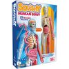 Squishy Human Body - STEM Toys - 1 - thumbnail