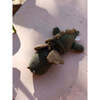 Activity Harmonica Dragon - Musical - 4
