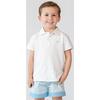 Wilkes Contrast Cuff Elasticated Shorts, Shelly Bay - Shorts - 2