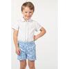 Robert Cotton Tail Classic Formal Shorts, Cambridge Blue - Shorts - 2