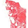 Sophie Palm Tassel Dress, Pink - Dresses - 2